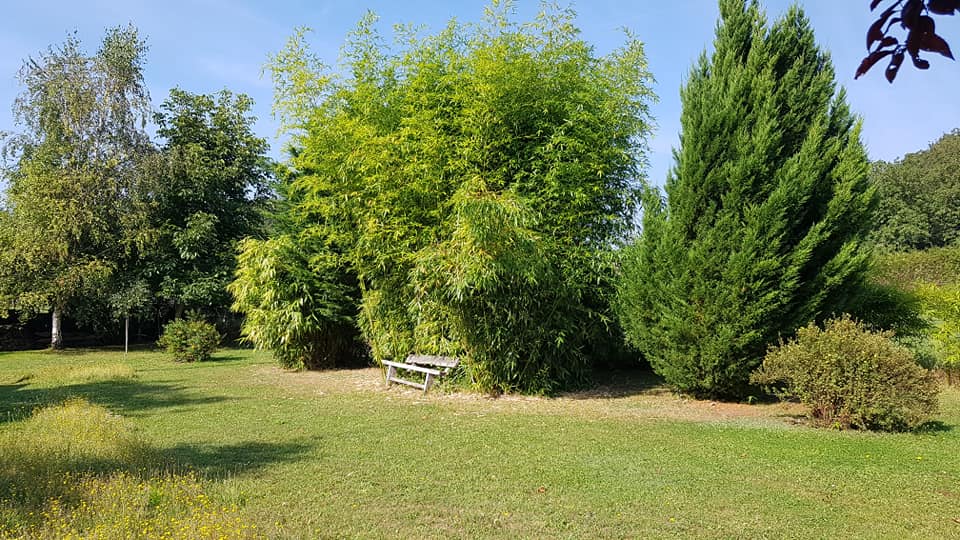 Aire camping-car  Diss-sous-le-Lude (72800) - Photo 1